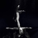 Circus act ID15429